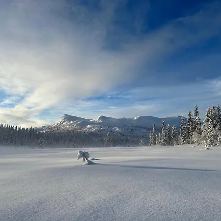 Montain Flå
