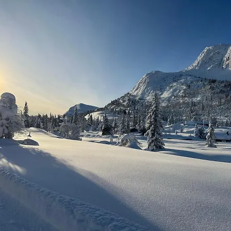 Domek alpejski Montain *