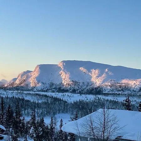 Montain Flå
