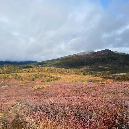 Montain Domek alpejski Flå