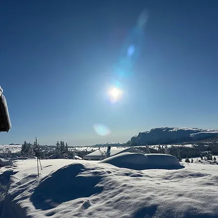 Montain Domek alpejski Flå